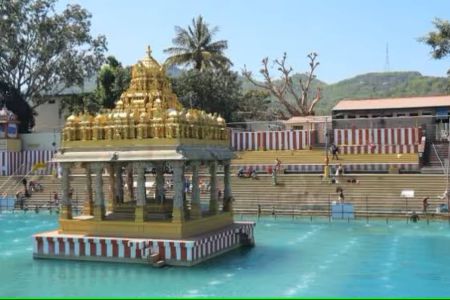 Swami Pushkarini Lake - Shri Brahmari Travels